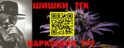 индика Нягань