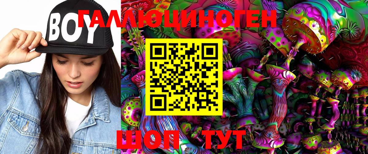 Псилоцибиновые грибы Psilocybe Славянск-на-Кубани