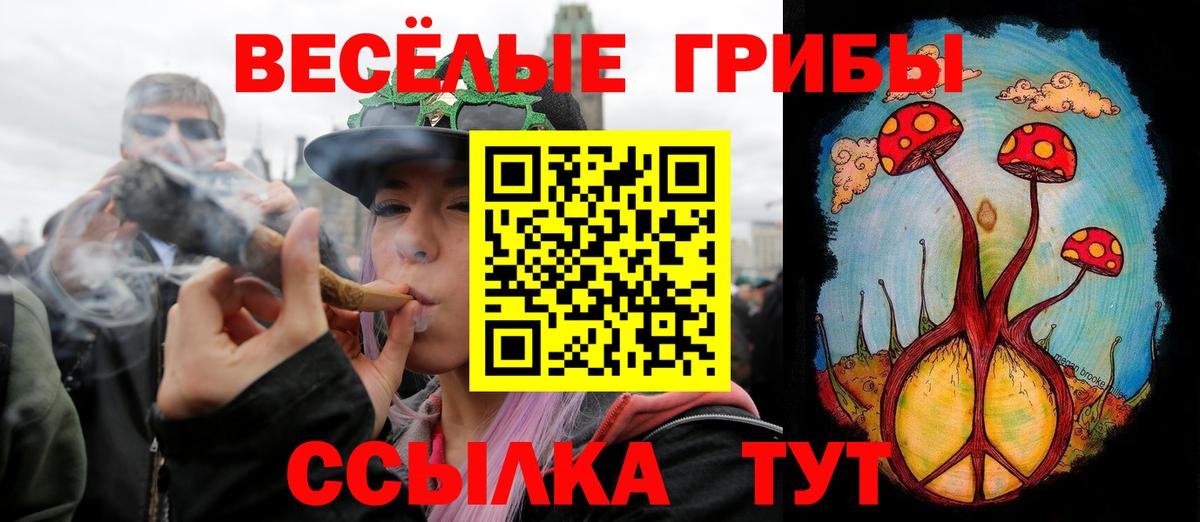 Галлюциногенные грибы мухоморы  Вход с VPN  Галлюциногенные грибы GOLDEN TEACHER  Славянск-на-Кубани 